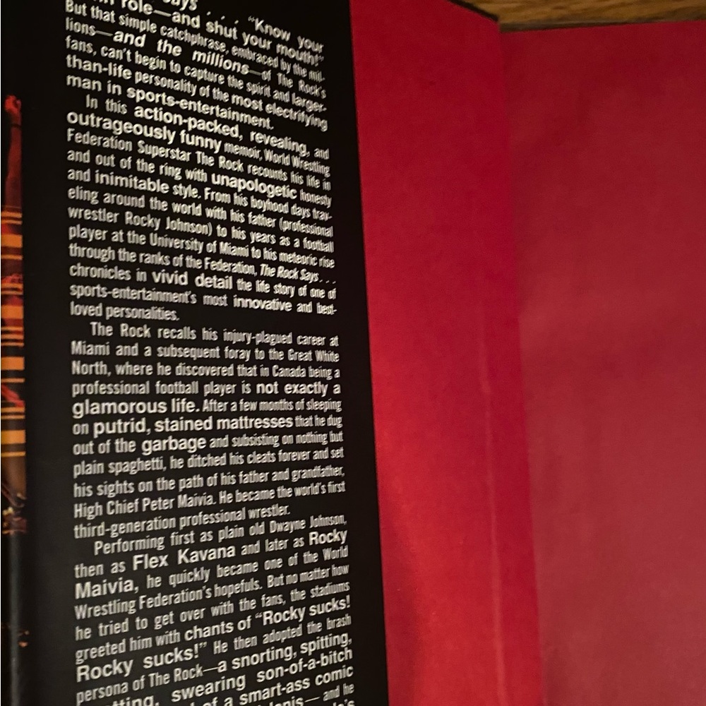 The Rock Says Book - Picture 5 of 9